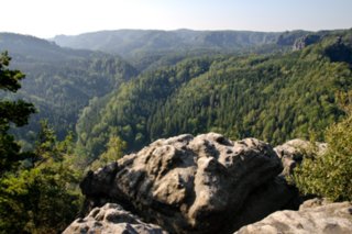 20090828_095033-bearb