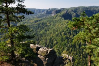 20090828_095453-bearb