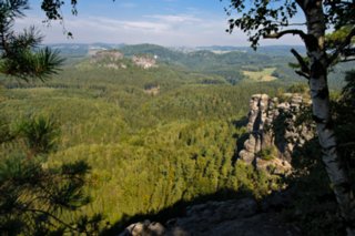20090828_095643-bearb