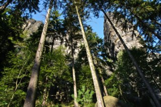 20090824_074304