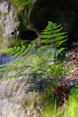 20090824_075805