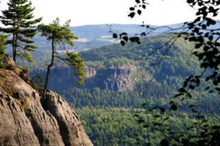 20090824_082639-bearb