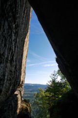 20090824_092317-bearb