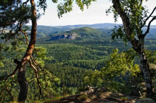 20090824_092959-bearb