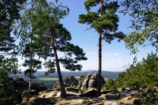 20090824_095135-bearb