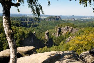20090824_111740-bearb