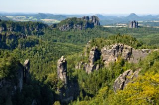 20090824_111825-bearb