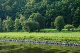 20090825_elbdampfschifffahrt_041