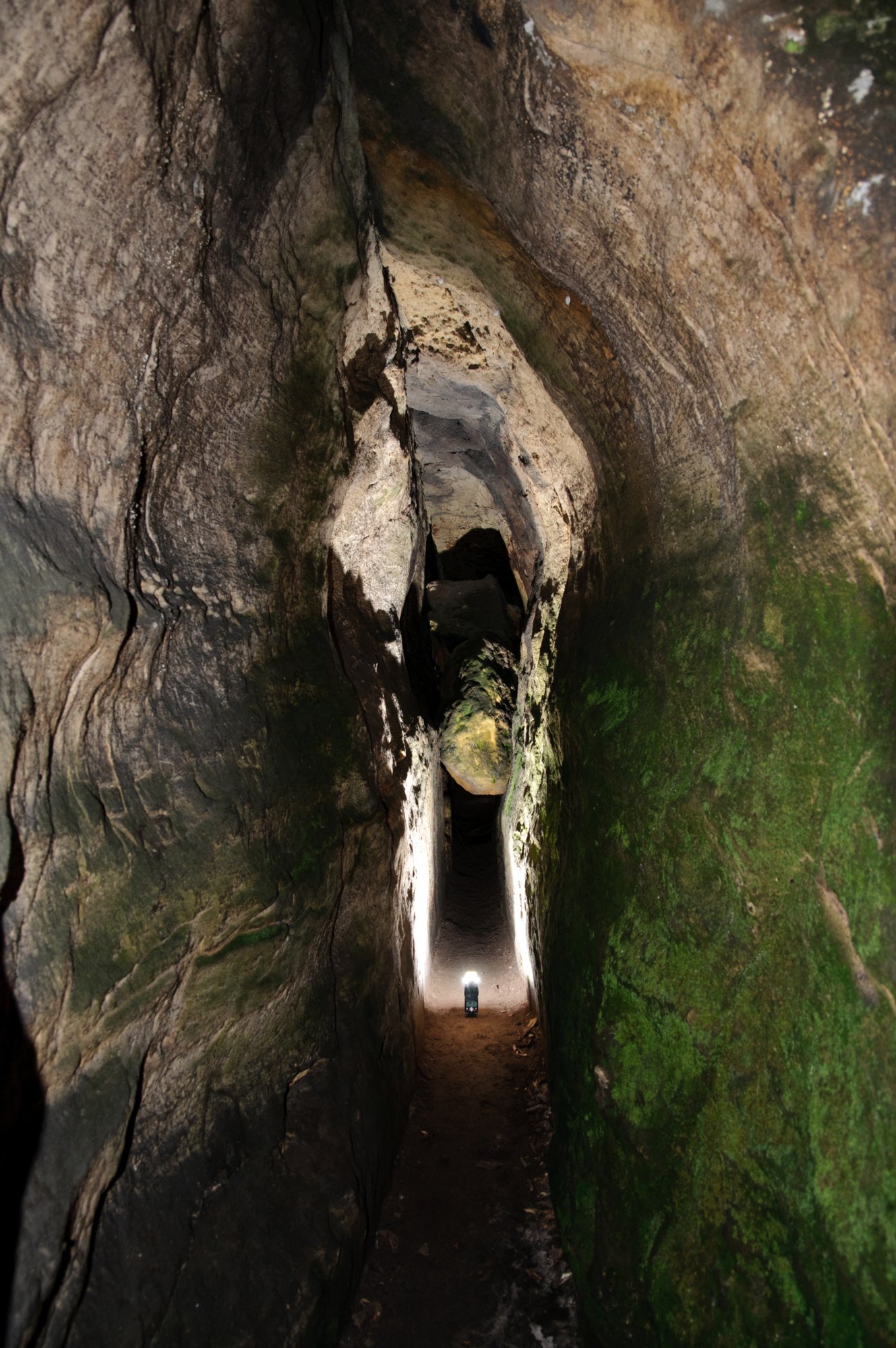 Gohrischstein und Papststein Wanderung vom Kurort Gohrisch über den Gohrischstein und den Pfaffenstein zurück nach Gohrisch.