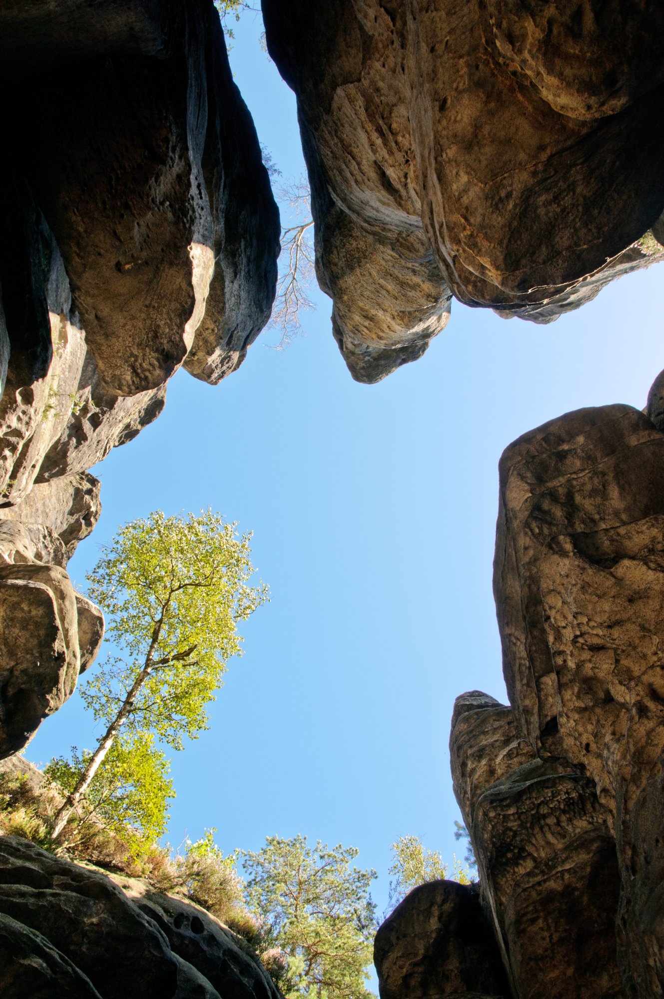 Gohrischstein und Papststein Wanderung vom Kurort Gohrisch über den Gohrischstein und den Pfaffenstein zurück nach Gohrisch.