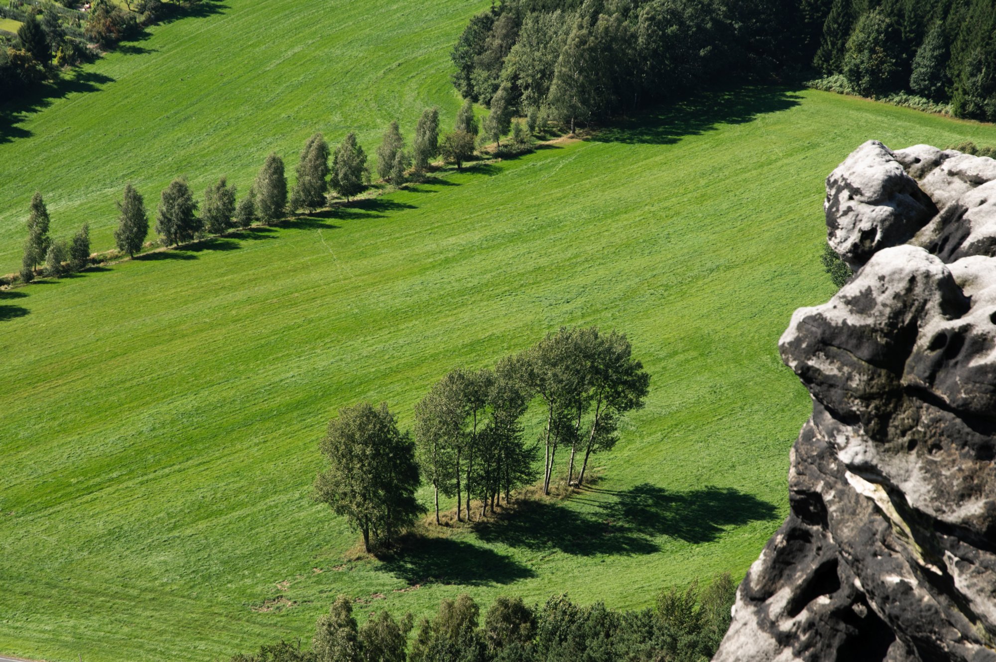 Gohrischstein und Papststein Wanderung vom Kurort Gohrisch über den Gohrischstein und den Pfaffenstein zurück nach Gohrisch.