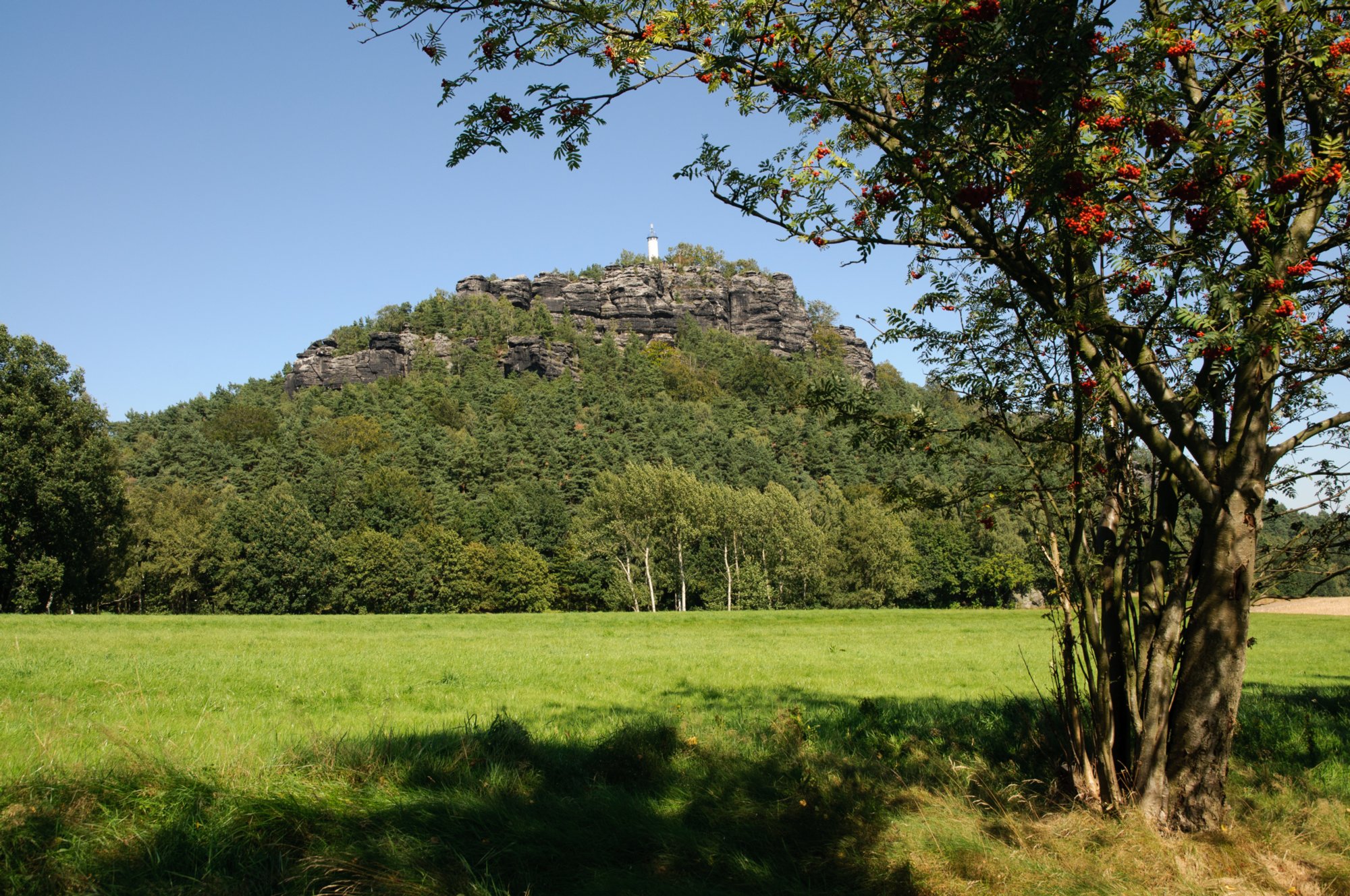 Gohrischstein und Papststein Wanderung vom Kurort Gohrisch über den Gohrischstein und den Pfaffenstein zurück nach Gohrisch. Der Papststein (451 m) ist ein Tafelberg in der linkselbischen Sächsischen Schweiz in Sachsen. Der Papststein befindet sich etwa vier Kilometer südöstlich von Königstein und etwa drei Kilometer südlich von Bad Schandau inmitten einer Hochebene (Ebenheit), welche noch durch weitere gleichartige Felsberge dominiert wird. Umliegende Berge sind der Gohrisch, der Kleinhennersdorfer Stein und die Lasensteine. Touristisch wird diese Mikroregion in der Sächsischen Schweiz oft auch als das Gebiet der Steine benannt. Am Fuß des Papststein liegt der kleine Ort Papstdorf, welcher zur Gemeinde Gohrisch gehört. Auf dem Gipfel befindet sich ein Berggasthaus und ein für die Öffentlichkeit nicht zugänglicher Feuerwachturm. Geschichte: Der Papststein wird 1496 als Bogerssdorfer Stein erstmals urkundlich erwähnt. Schon sehr frühzeitig (um 1830) erweckte der aussichtsreiche Berg touristisches Interesse. 1858 wurde ein hölzerner Pavillon auf dem Gipfel erbaut, 1862 das noch heute bestehende Berggasthaus. 1889 wurde auf dem höchsten Punkt des Berges ein Aussichtsgerüst errichtet, von dem heute nur noch das Betonfundament existiert. Zu DDR-Zeiten wurde auf dem Gipfel ein schmuckloser Feuerwachturm aus Betonfertigteilen errichtet. Am 17. Januar 1972 stürzten auf der Südseite bis zu 4000 m³ Felsmasse vom Papststein herab und rissen in den Wald eine über 30 Meter breite Schneise, die auch heute noch deutlich sichtbar ist. Geologie http://de.wikipedia.org/wiki/Papststein