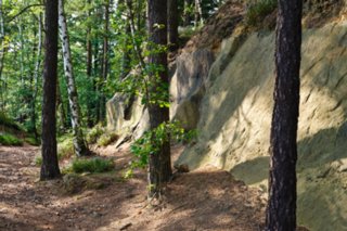20090822_170352