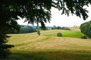 20090822_175403