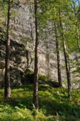 20090831_090422
