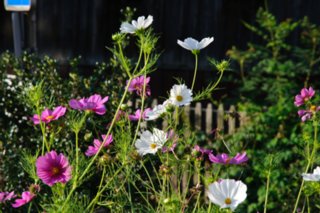 20090821_072546