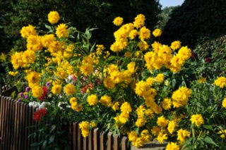20090821_091311