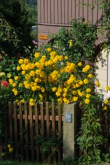 20090821_091338