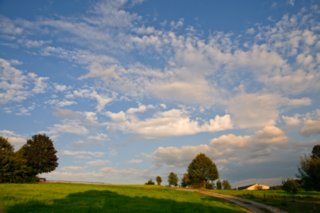 20090828_190252-bearb