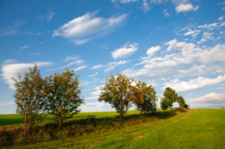 20090828_191113
