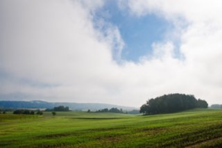 20090827_100444