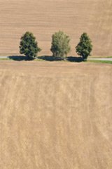 20090827_115239