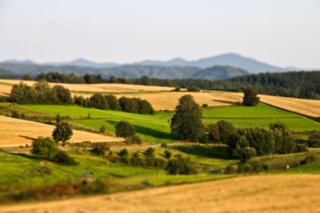 20090818_183035-bearb