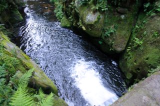 20090819_163728