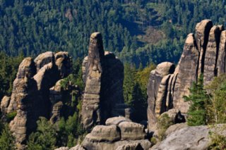 20090820_093112-bearb