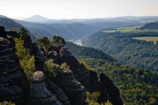 20090820_095042-bearb