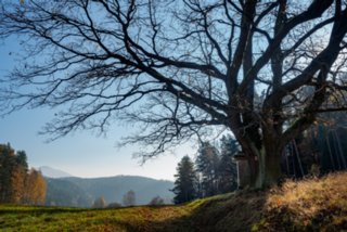 20151103_jubilaeumssteig_041