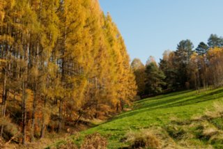 20151103_jubilaeumssteig_042