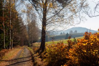 20151103_jubilaeumssteig_043