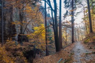 20151103_jubilaeumssteig_049