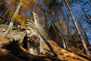 20151103_jubilaeumssteig_082