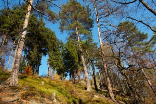 20151103_jubilaeumssteig_095