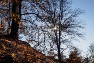 20151103_jubilaeumssteig_102