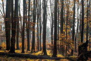 20151103_jubilaeumssteig_138