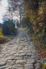 20151104_pfaffenstein_015