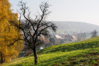 20151104_pfaffenstein_016