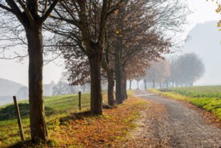 20151104_pfaffenstein_017