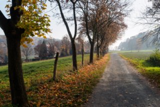 20151104_pfaffenstein_025
