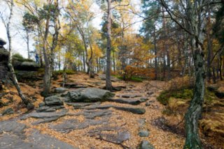 20151104_pfaffenstein_035
