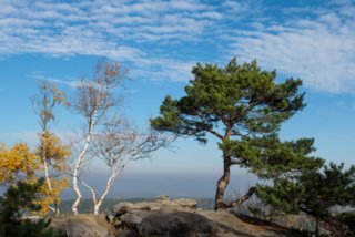 20151104_pfaffenstein_036