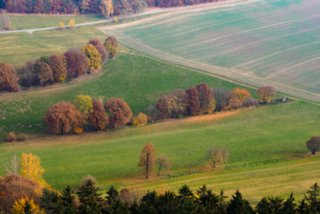 20151104_pfaffenstein_049