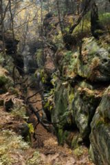 20151104_pfaffenstein_078