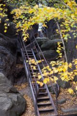 20151104_pfaffenstein_116