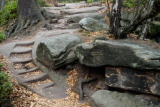 20151104_pfaffenstein_117