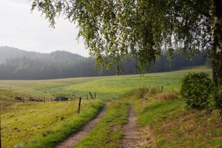 20140808_baerenstein-rauenstein_017