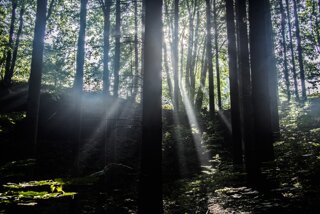 20140808_baerenstein-rauenstein_031